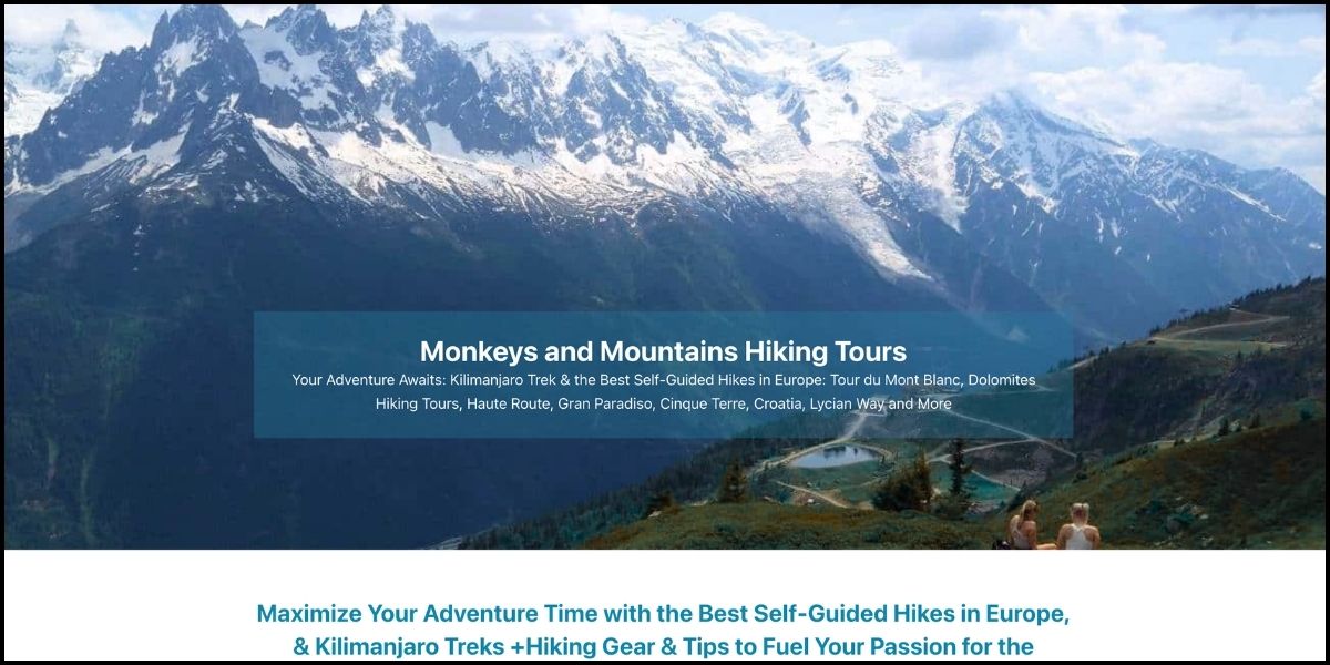 Before website redesign