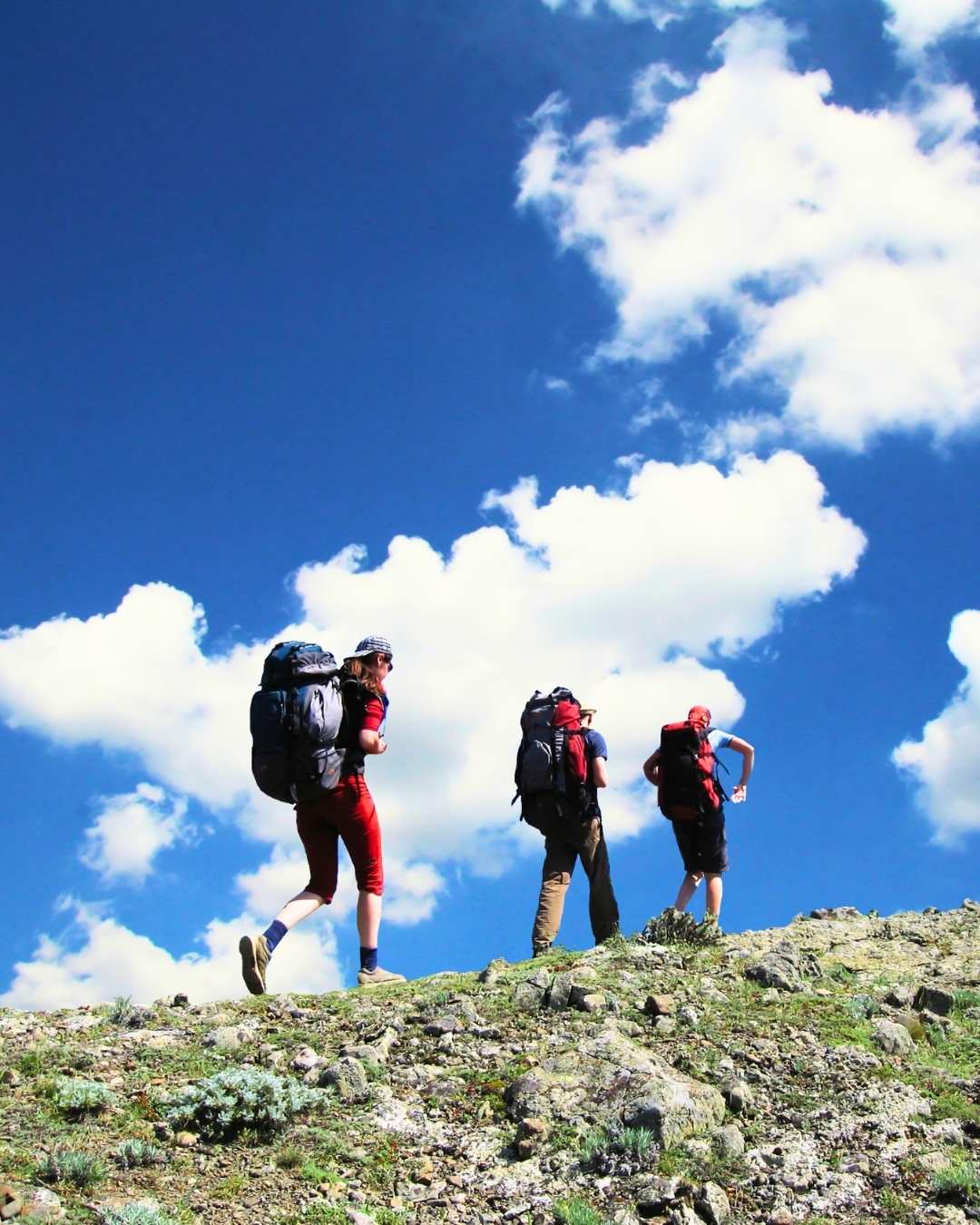 Adventure tour group on a mountain summit — lead generation for tour operators