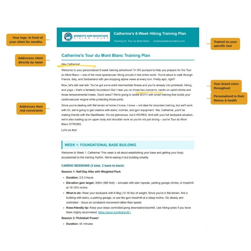 Sample custom AI training plan — marketing strategies for tour operators